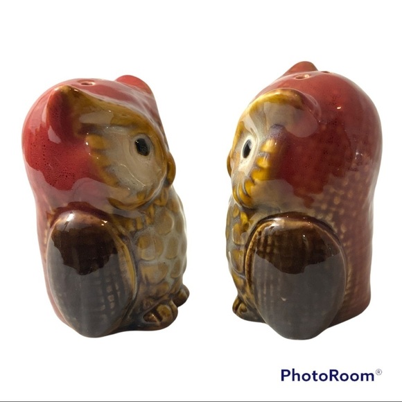Owl Salt and Pepper Shakers Hand Painted Ceramic Rustic Farmhouse Decorative Set - Picture 7 of 14